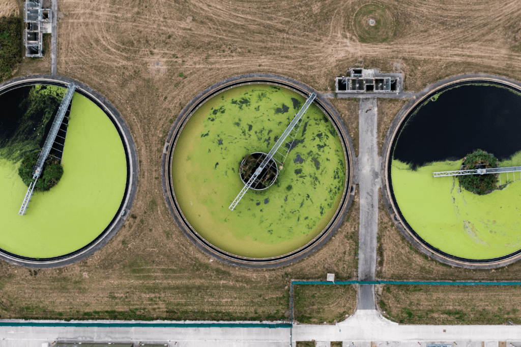 Cyanobacterial blooms are a concern for water utilities due to the potential production of cyanotoxins and taste and odours...